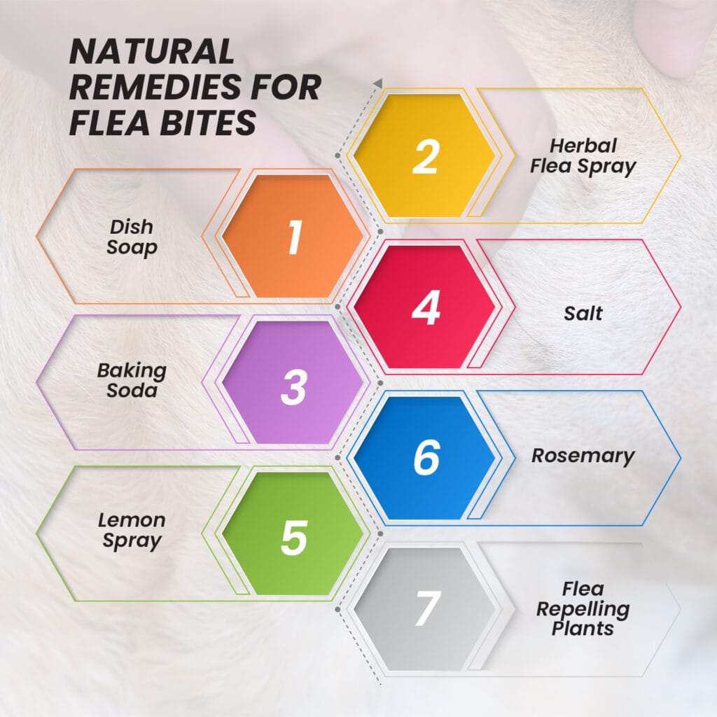 Flea Bites Natural Remedies