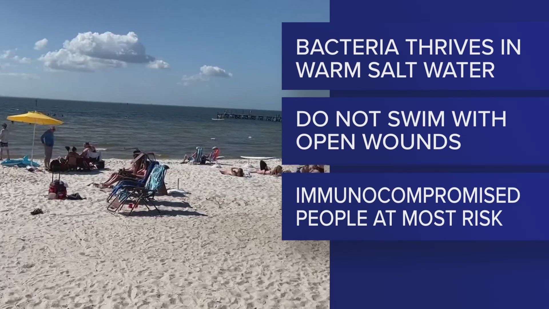 Flesh Eating Bacteria Florida