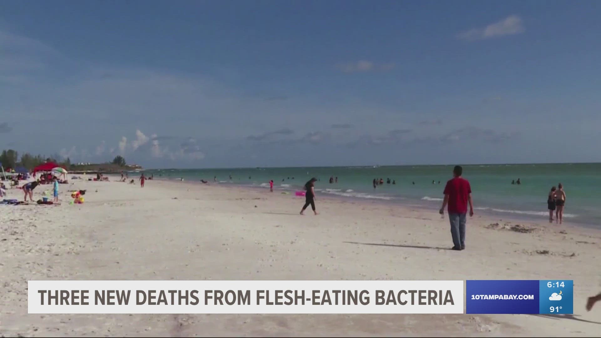 Florida Bacteria Flesh Eating