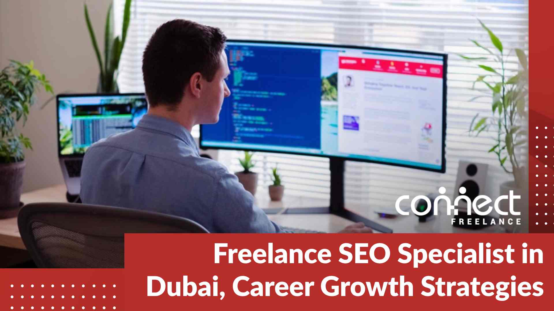Freelance Seo Specialist