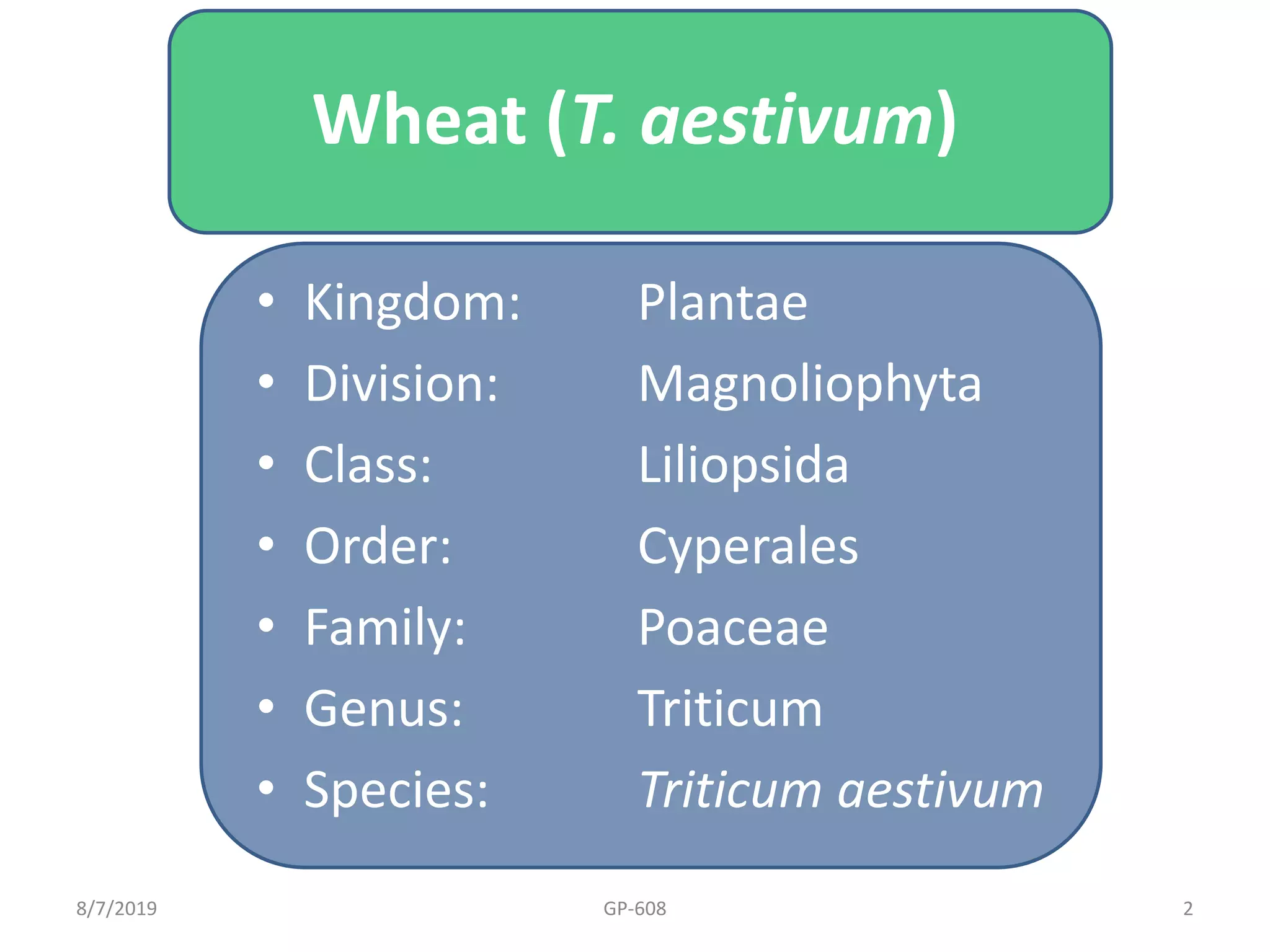 Genus Of Wheat