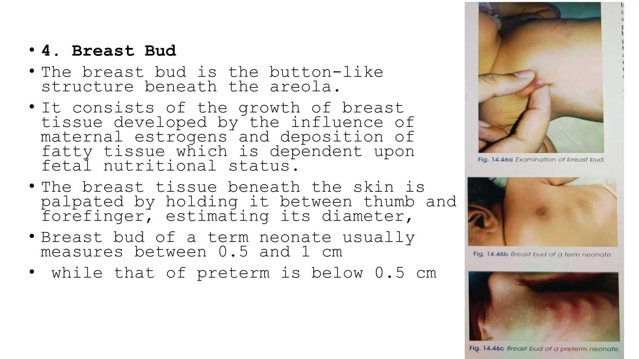 Girls That Send Nudes On Snapchat