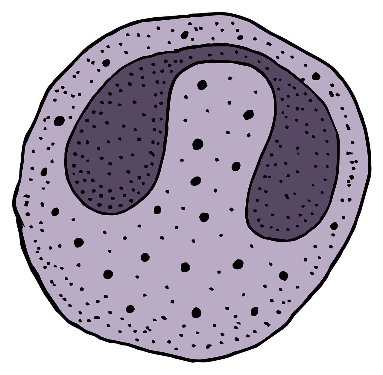 Globulos Blancos Altos