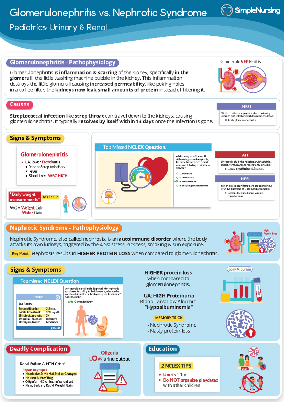 Glomerulonephritis Vs Nephrotic Syndrome
