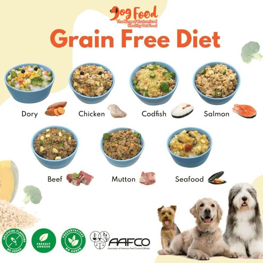 Grain Free Diet