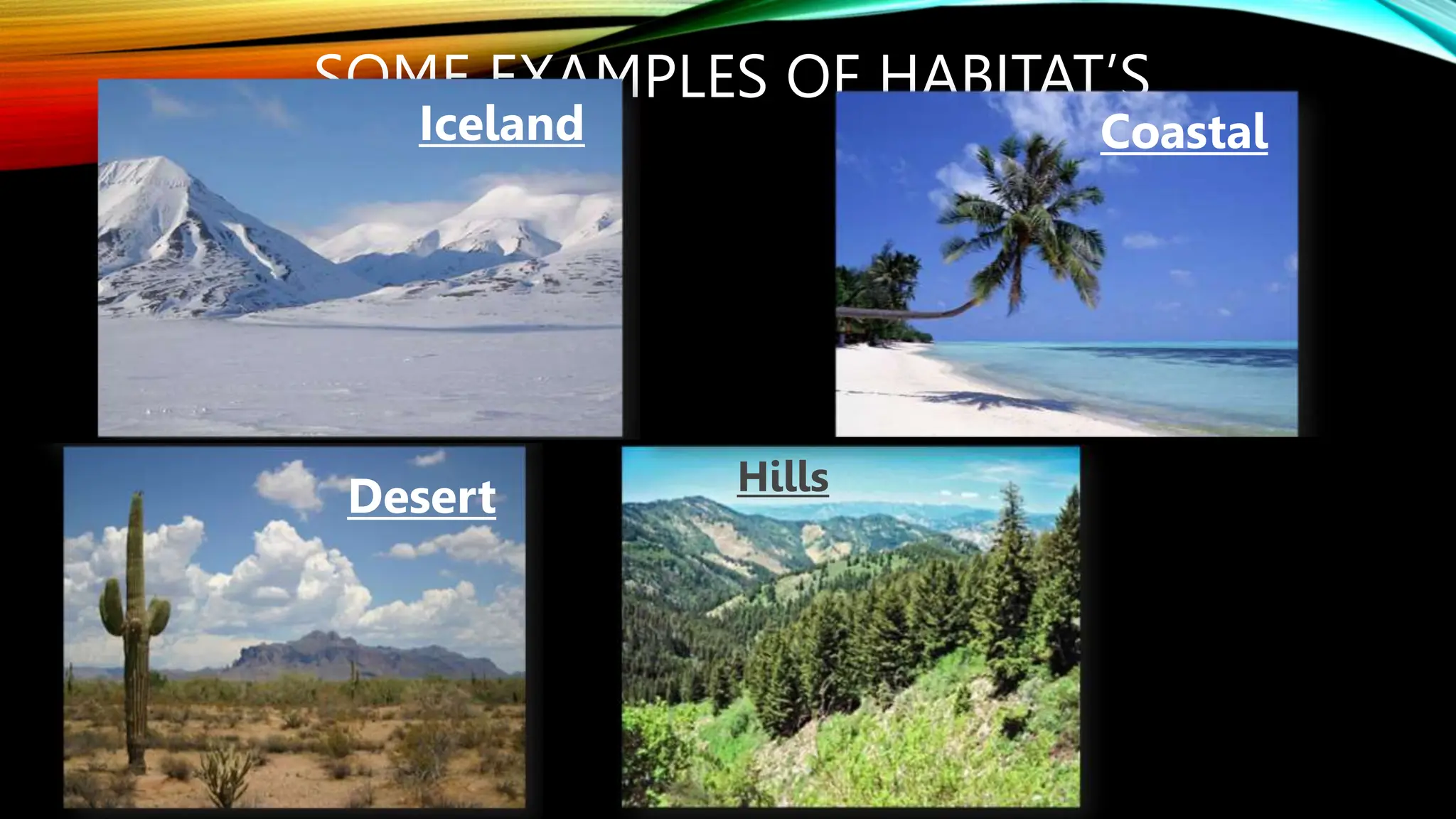 Habitat Of Plants