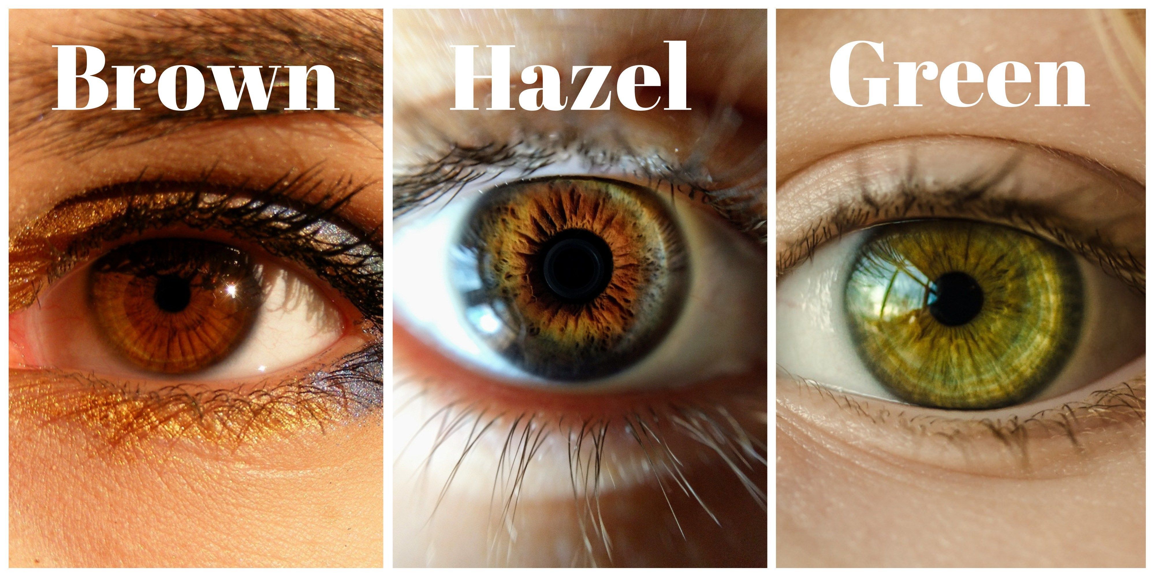 Hazel The Colour