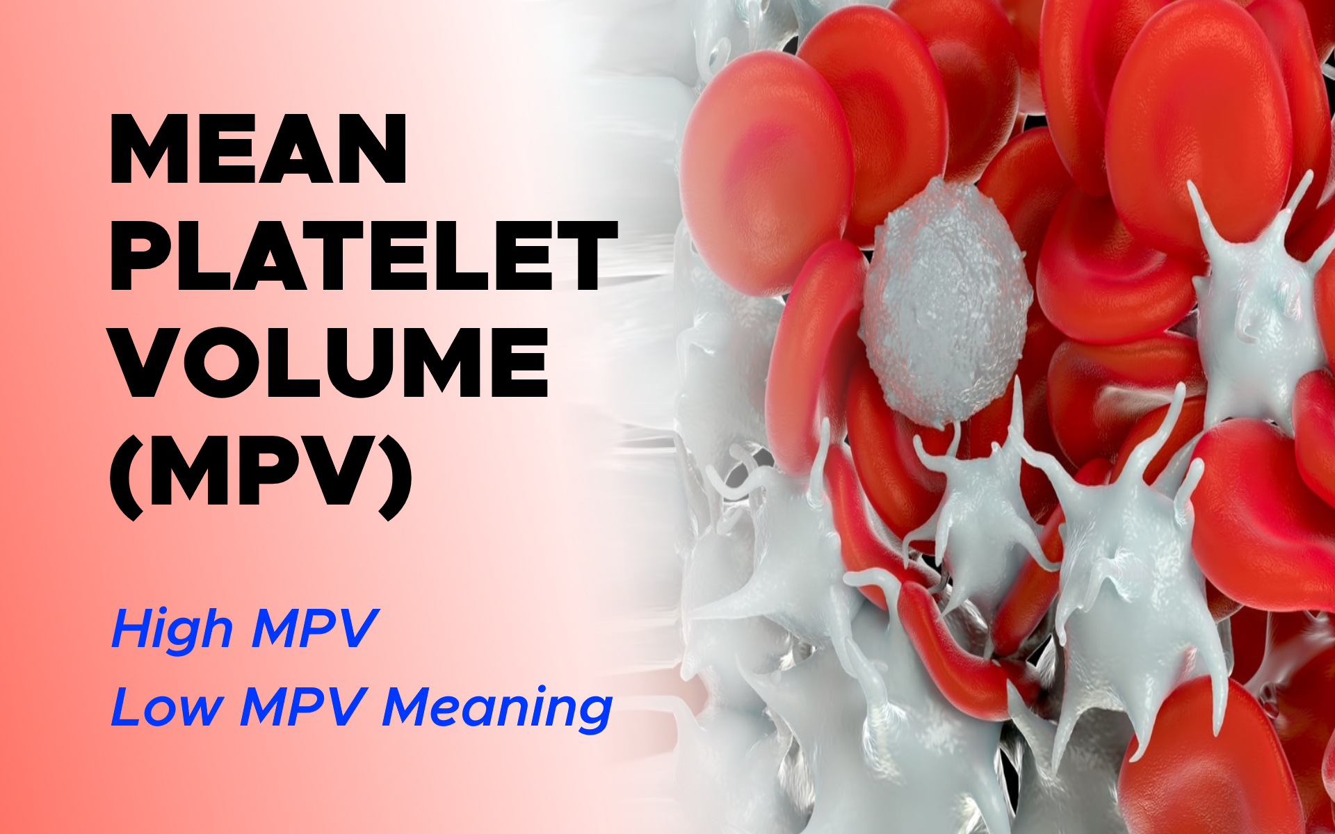 High Platelet Volume