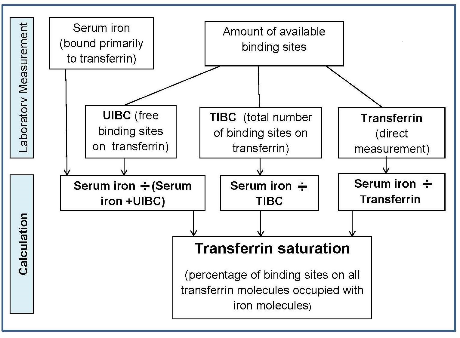 High Unbound Iron Binding Capacity
