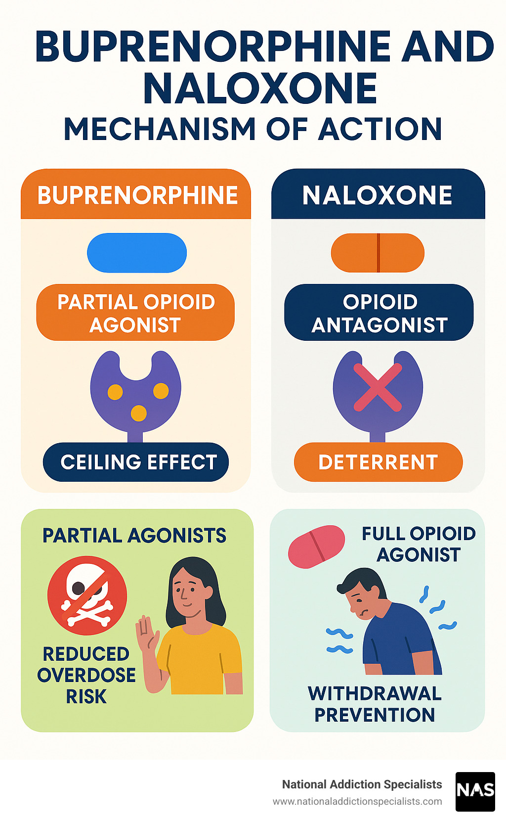 How Buprenorphine / Naloxone Works