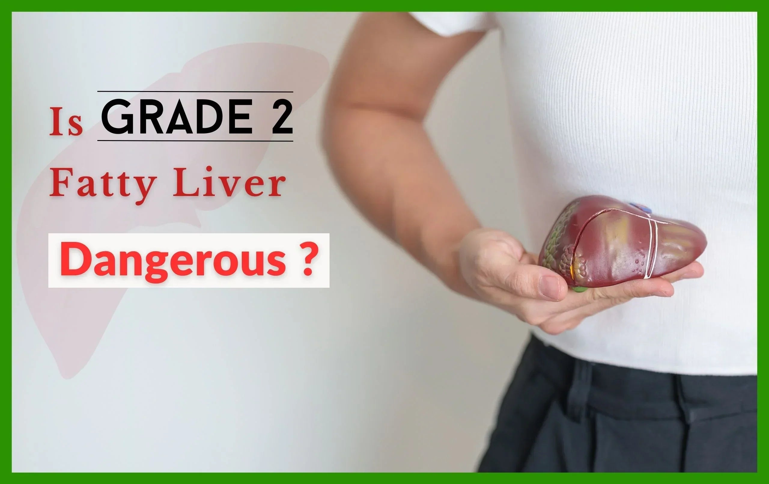 How Dangerous Is Grade 2 Fatty Liver