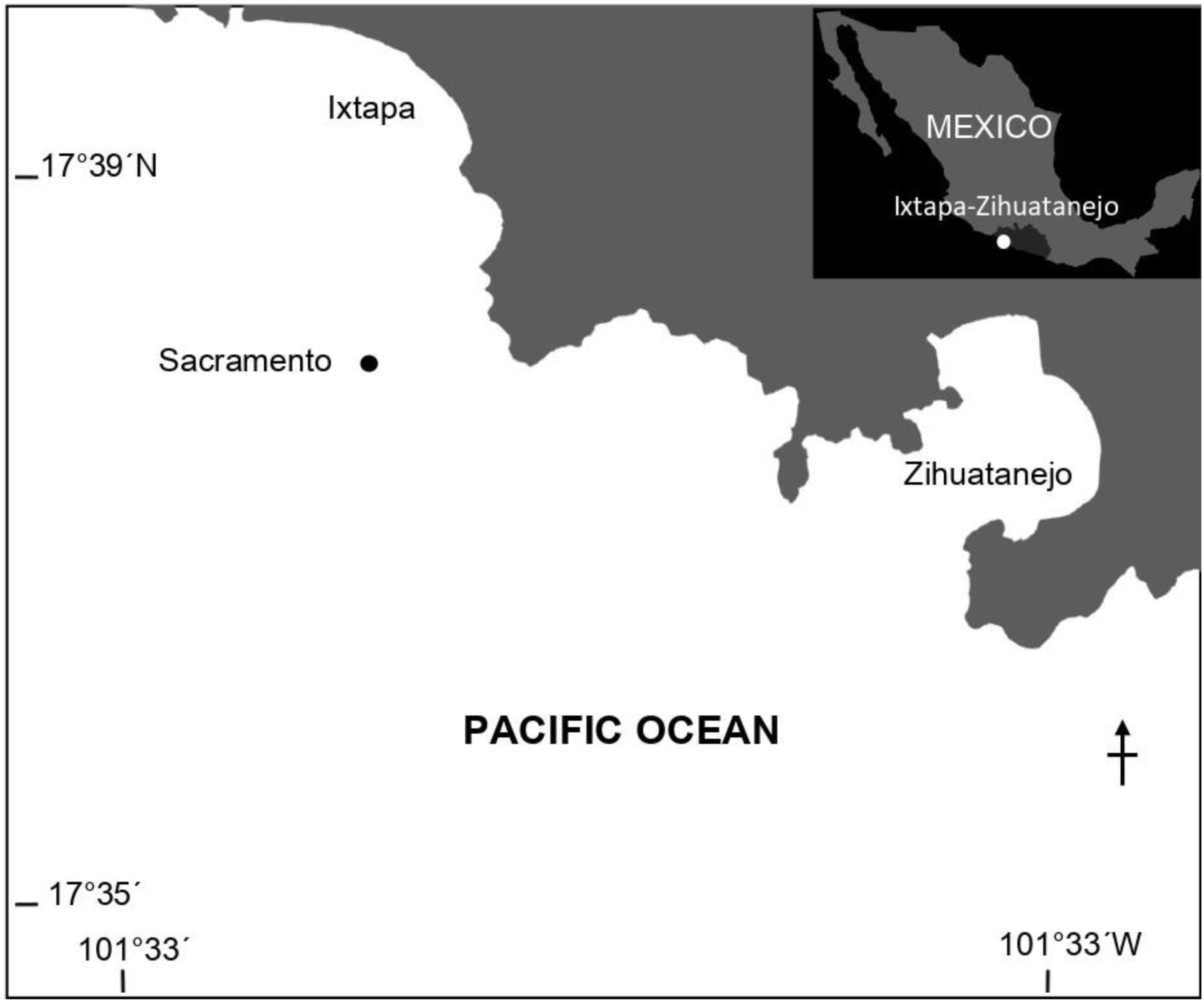 How Deep Is Zihuatanejo Bay
