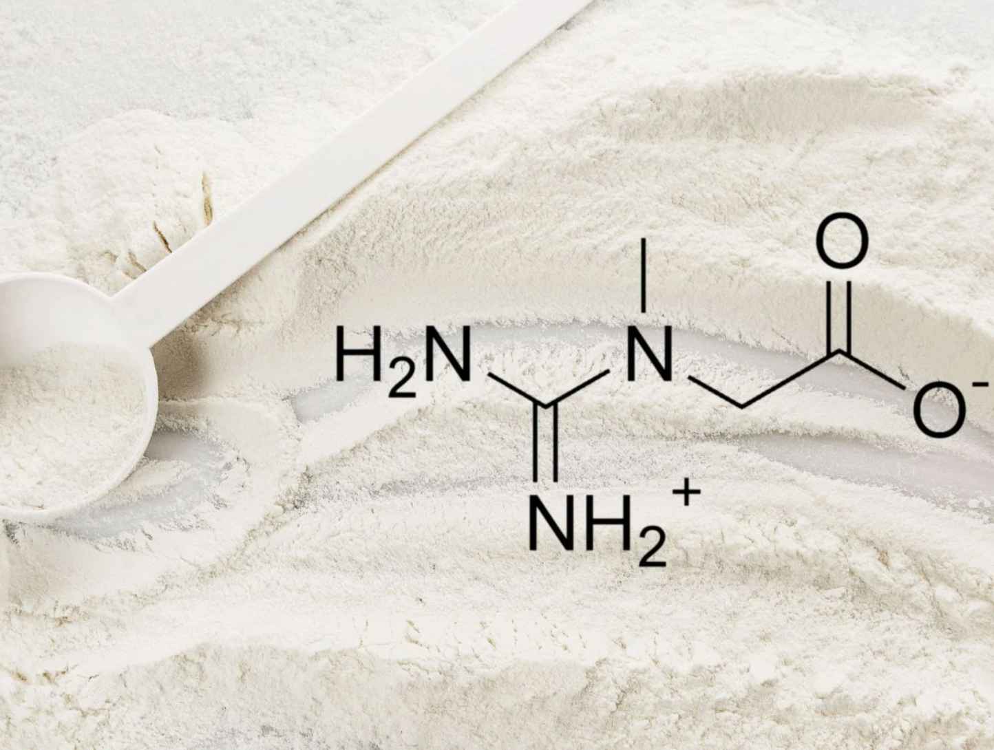 How Is Creatine Made