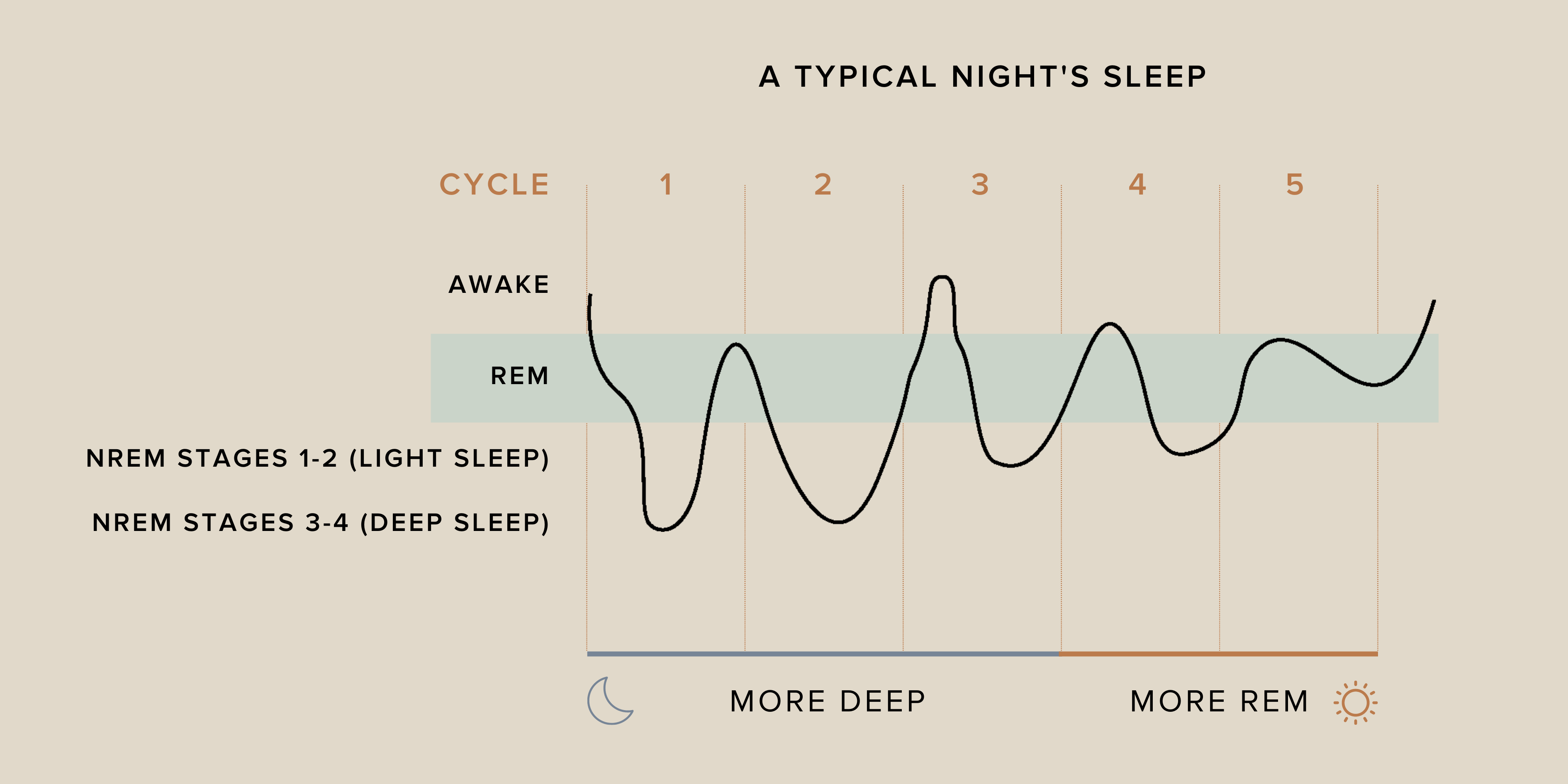 How Long Can You Last Without Sleep