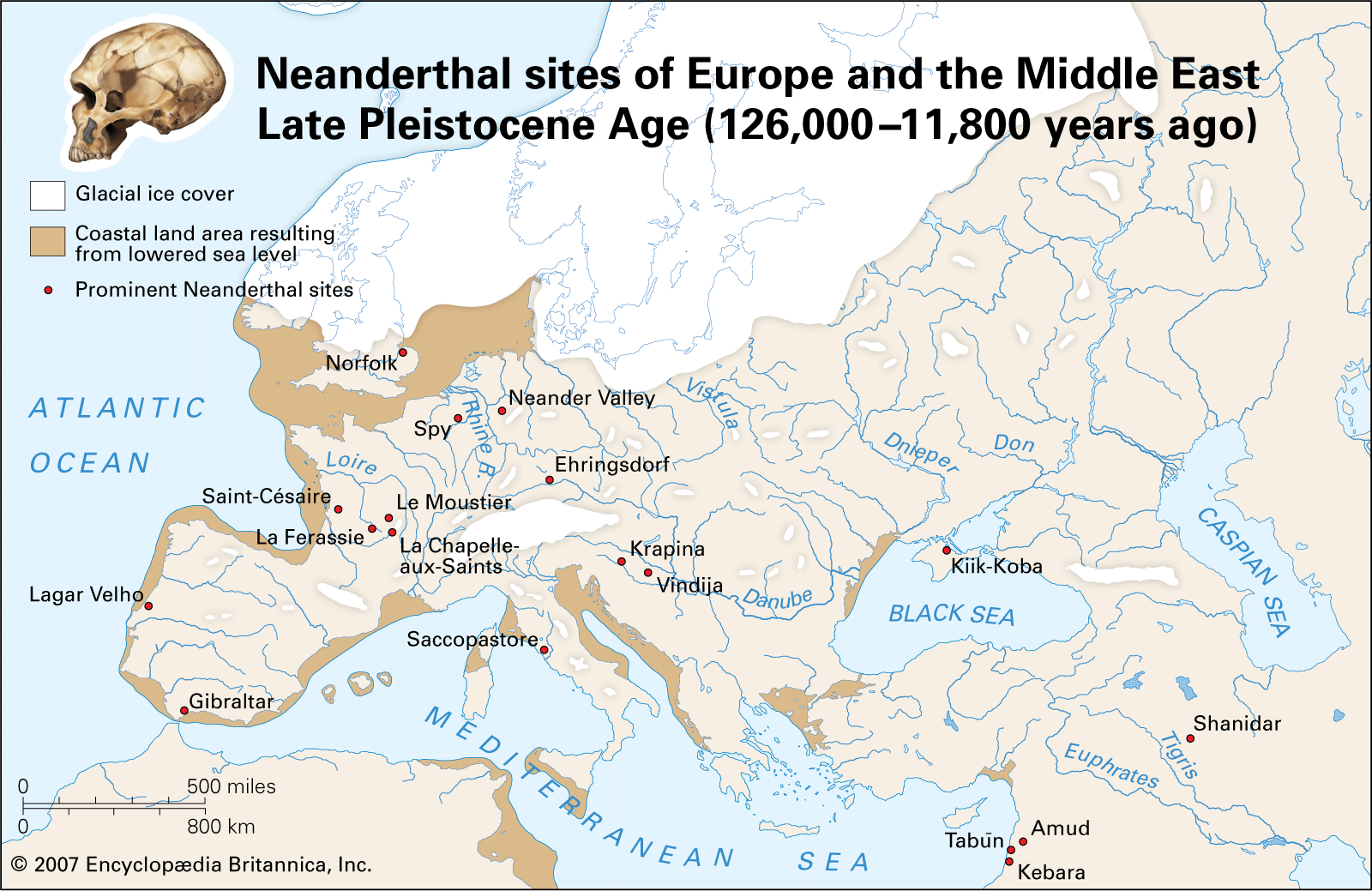 How Long Have Neanderthals Been Around