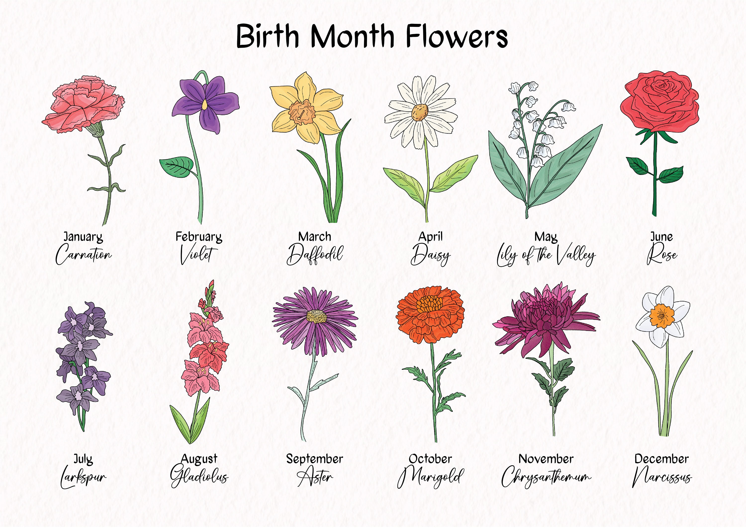 How Rare Is Your Birthday Month