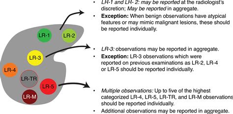 How to Use LI-RADS to Report Liver CT and MRI ObservationsRadioGraphics ...