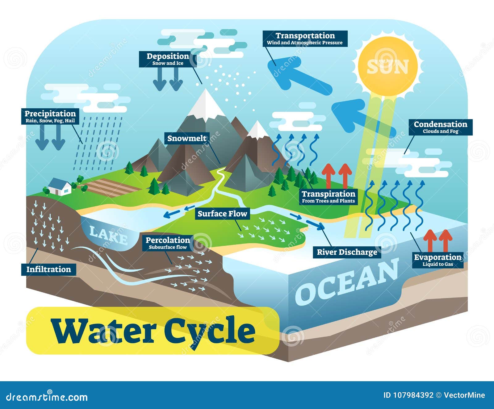Illustration Of Water Cycle With Explanation