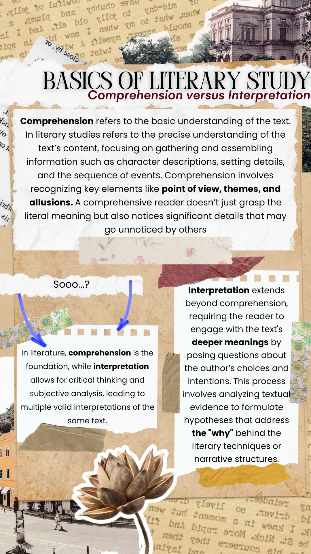 Importance Of Literary Studies