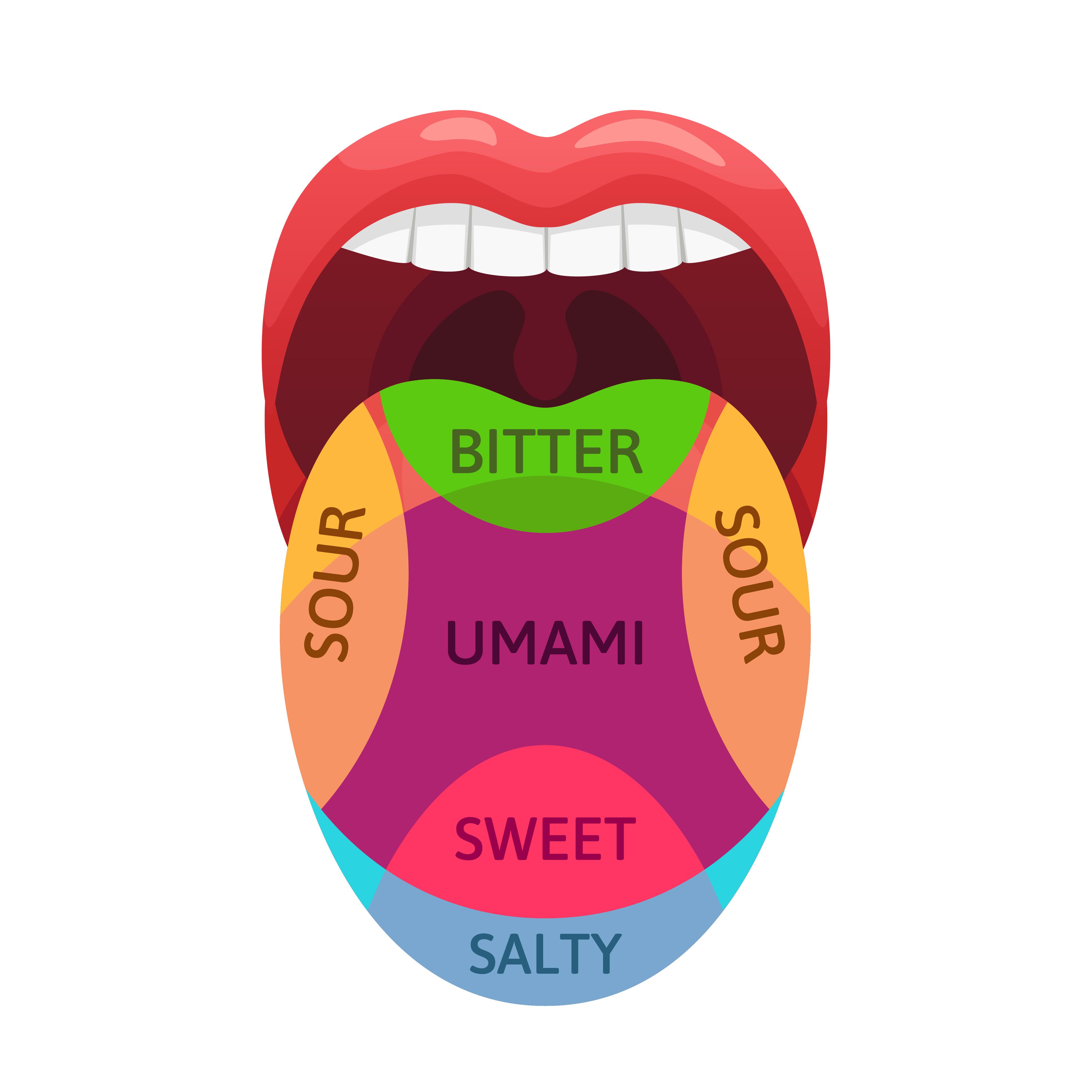 Irritated Taste Bud