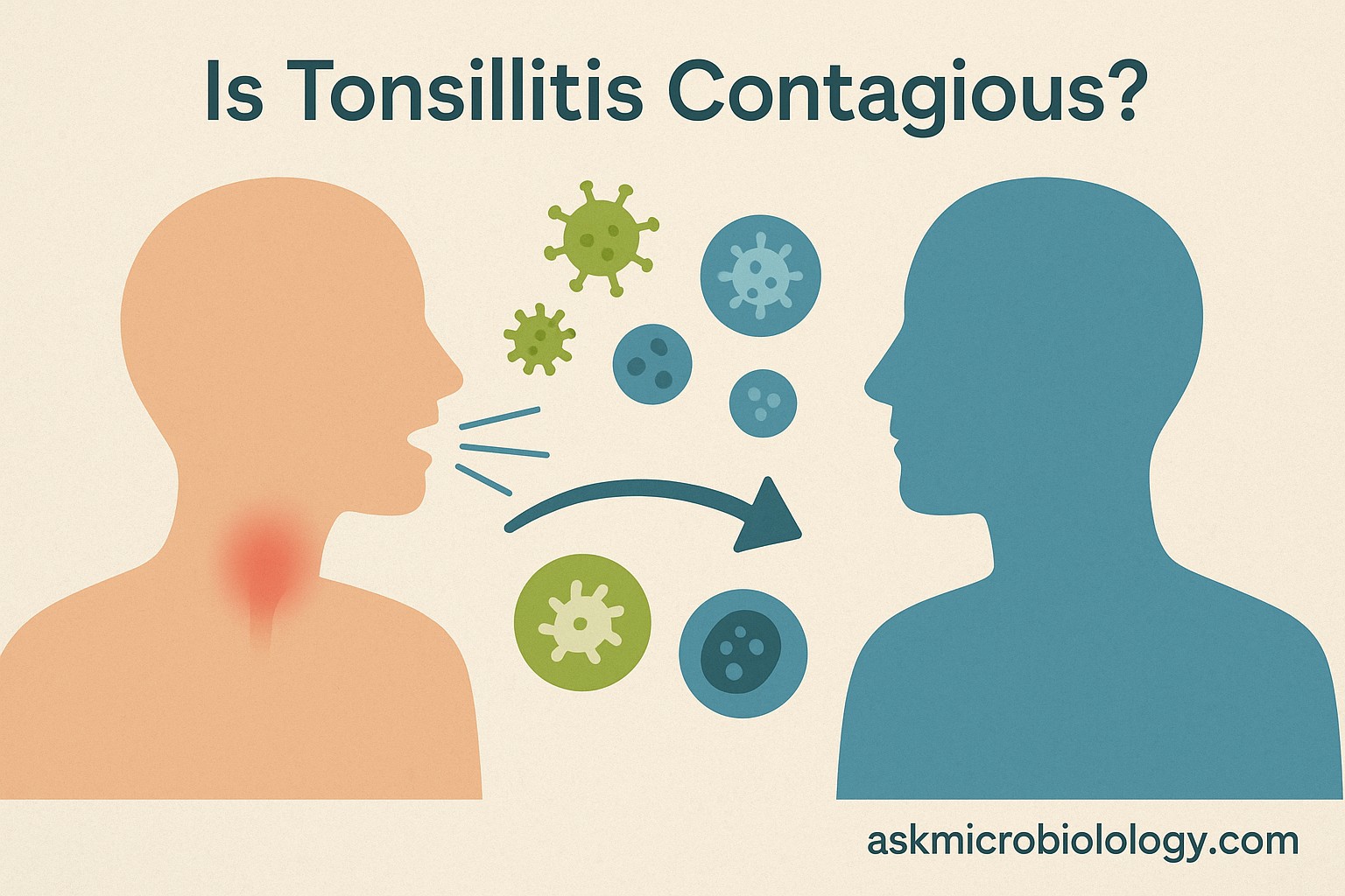 Is To Tonsillitis Contagious