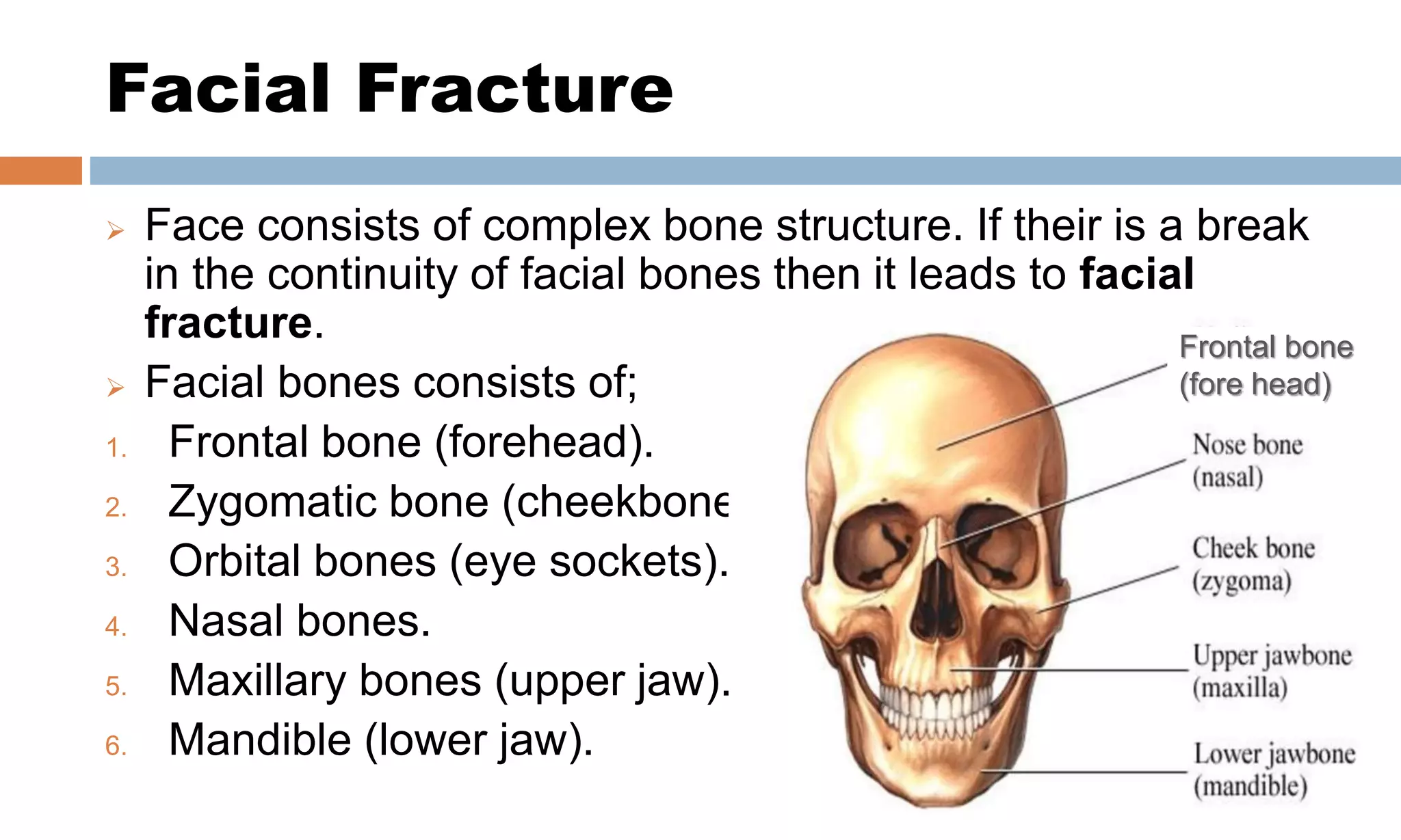 Jaw Bone Fracture Symptoms