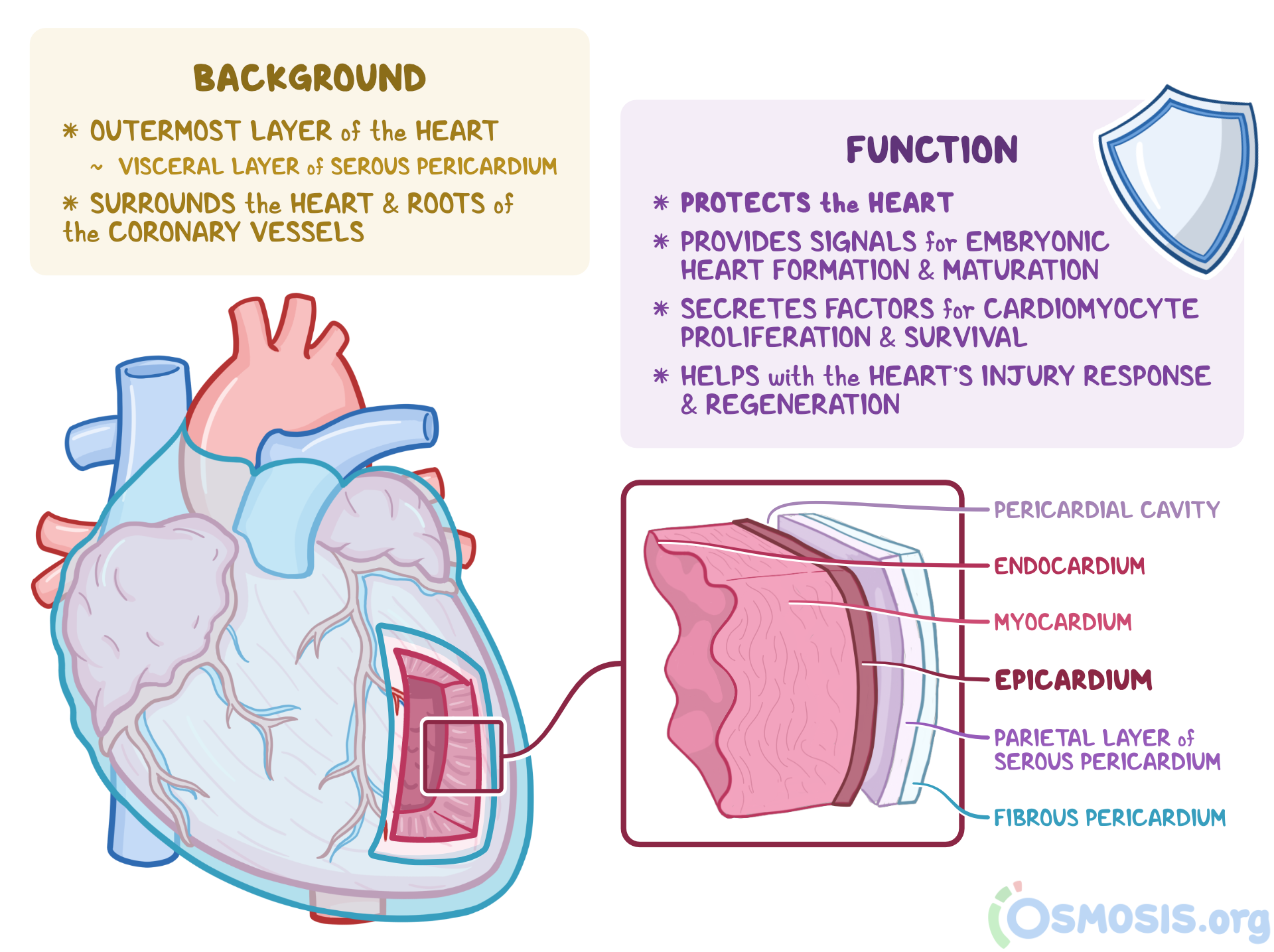 Layers Of The Heart