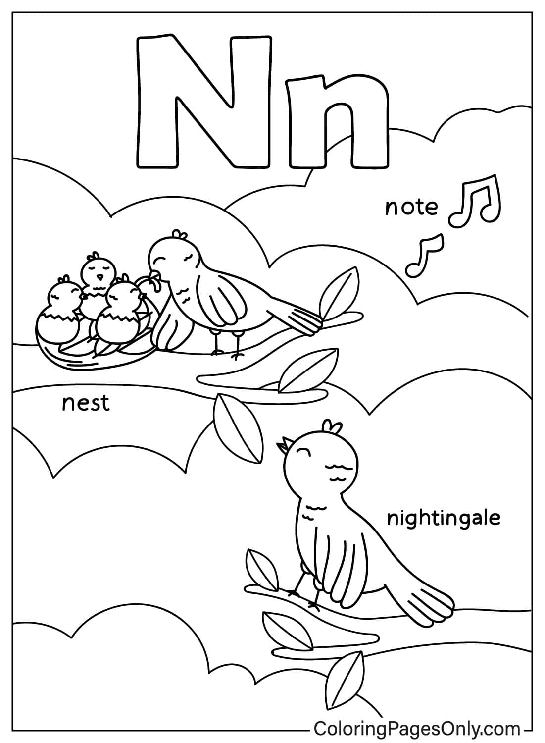 Letter N For Kids Drawing