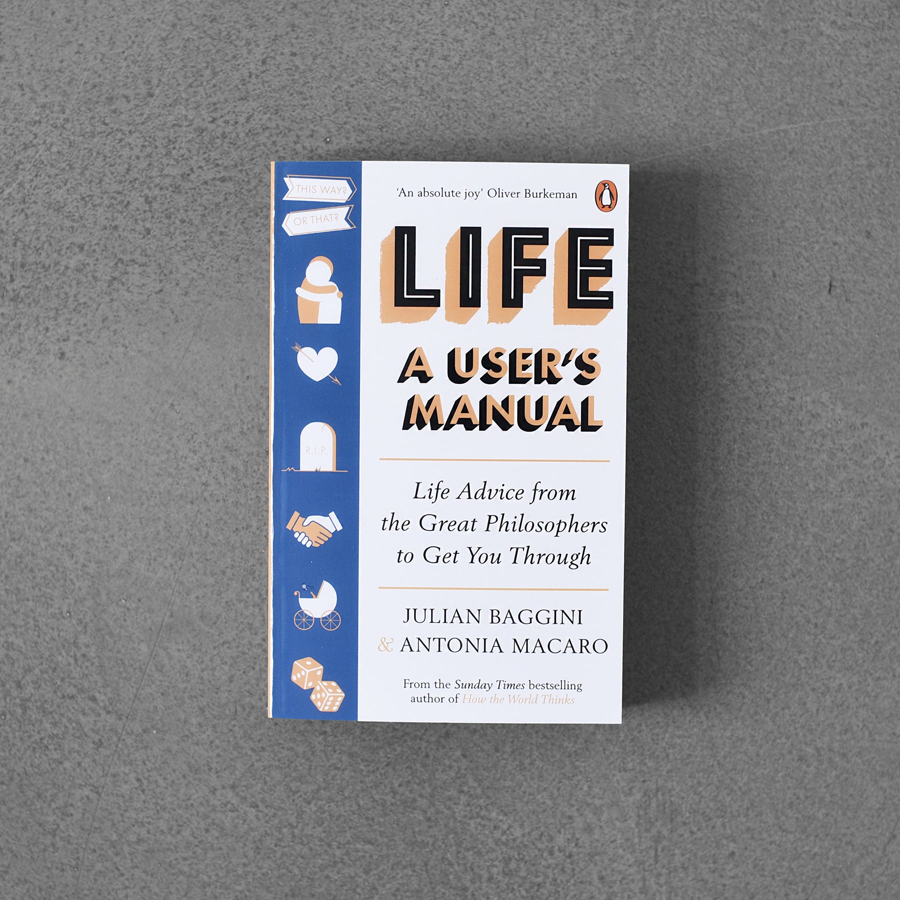 Life A User's Manual