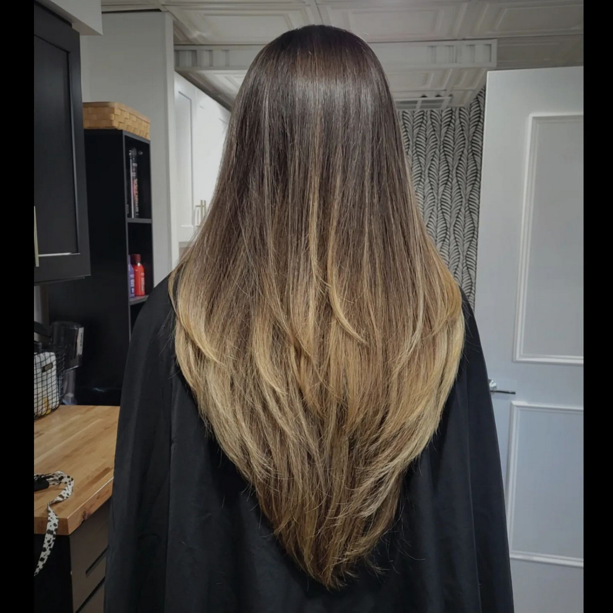 Long V Layered Hair Back View