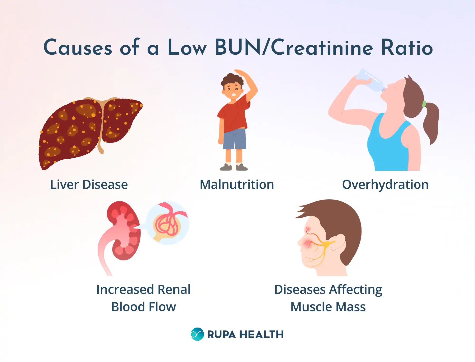 Low Bun Creatinine Ratio