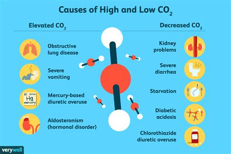 Low Co2 Levels In Blood