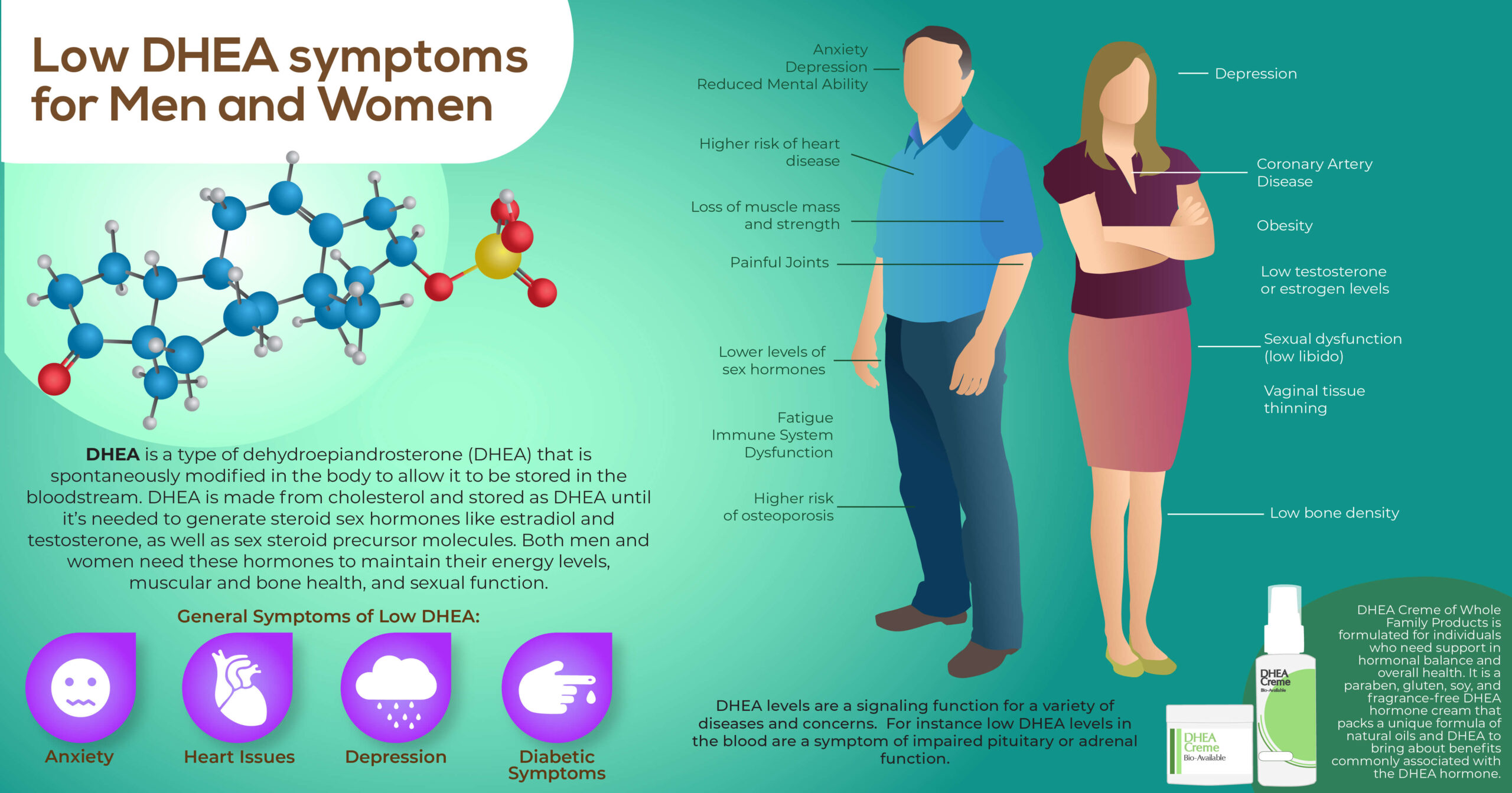 Low Dhea Symptoms Female