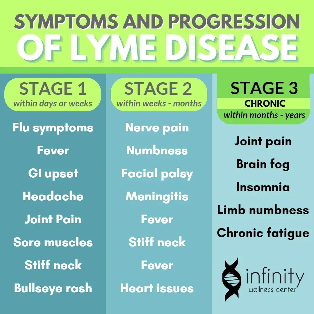 Lyme Disease Specialist