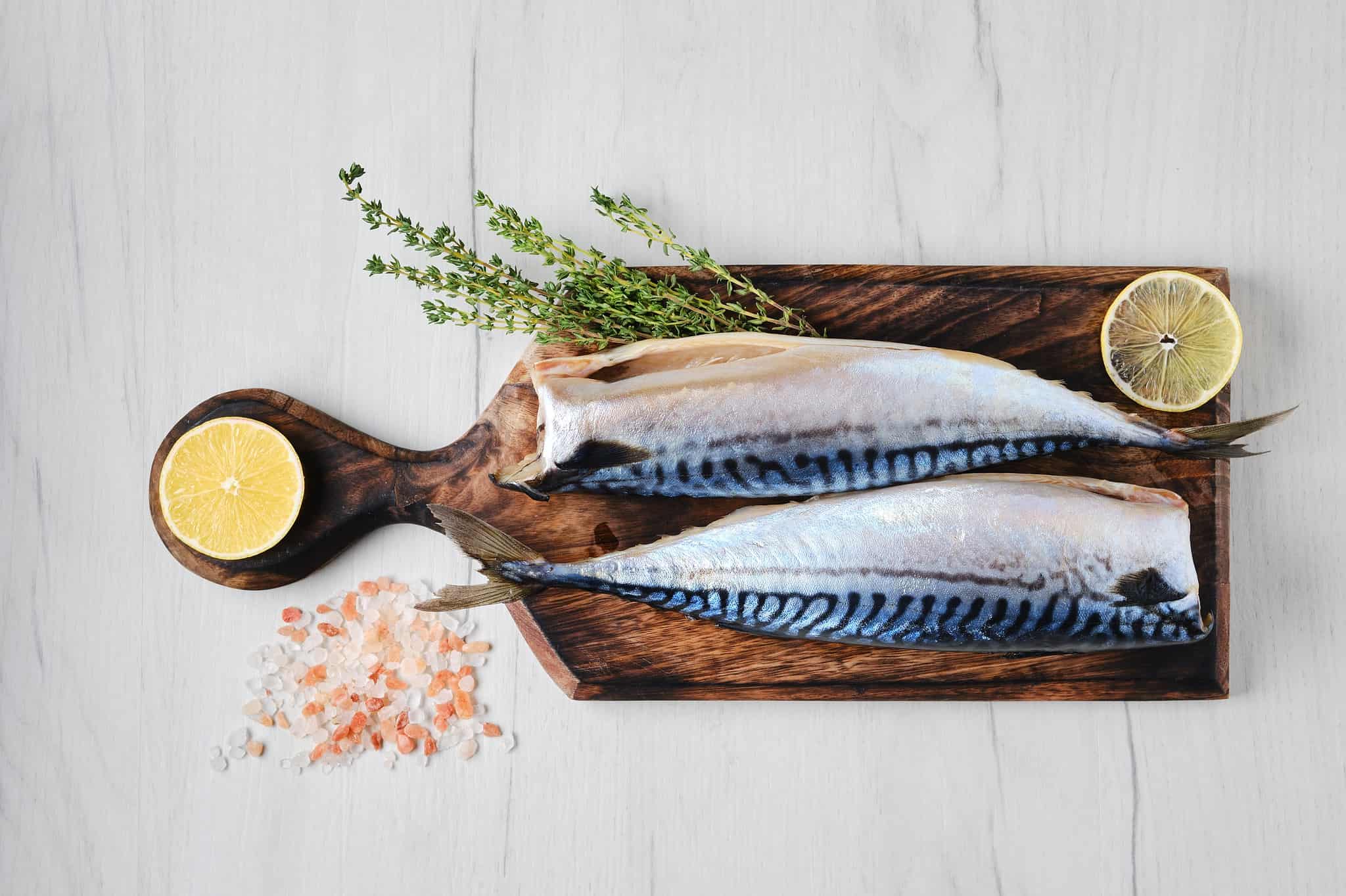 Mackerel Vs Sardines