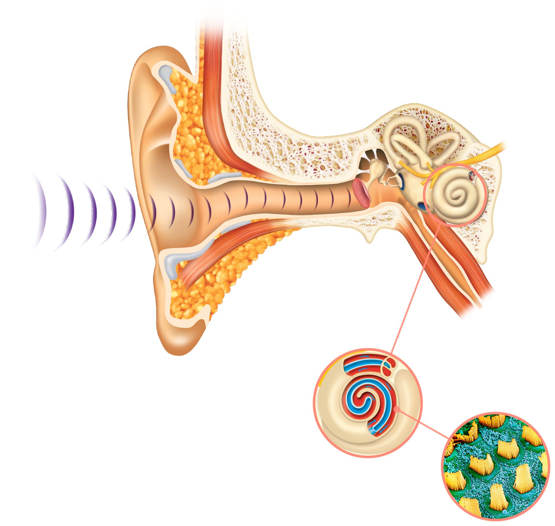 Marley Roze Onlyfans Leaked