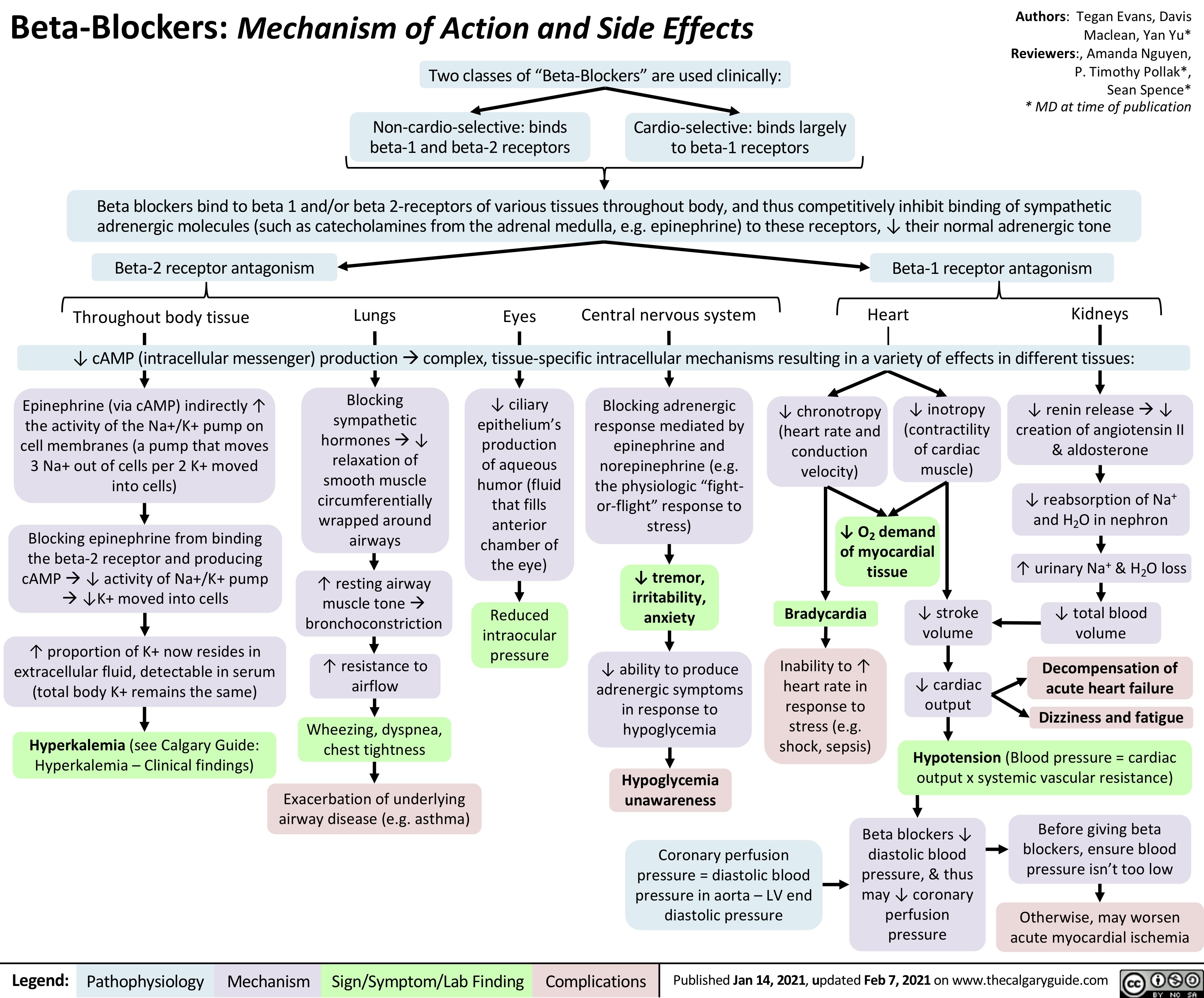Mechanism Of Beta Blockers