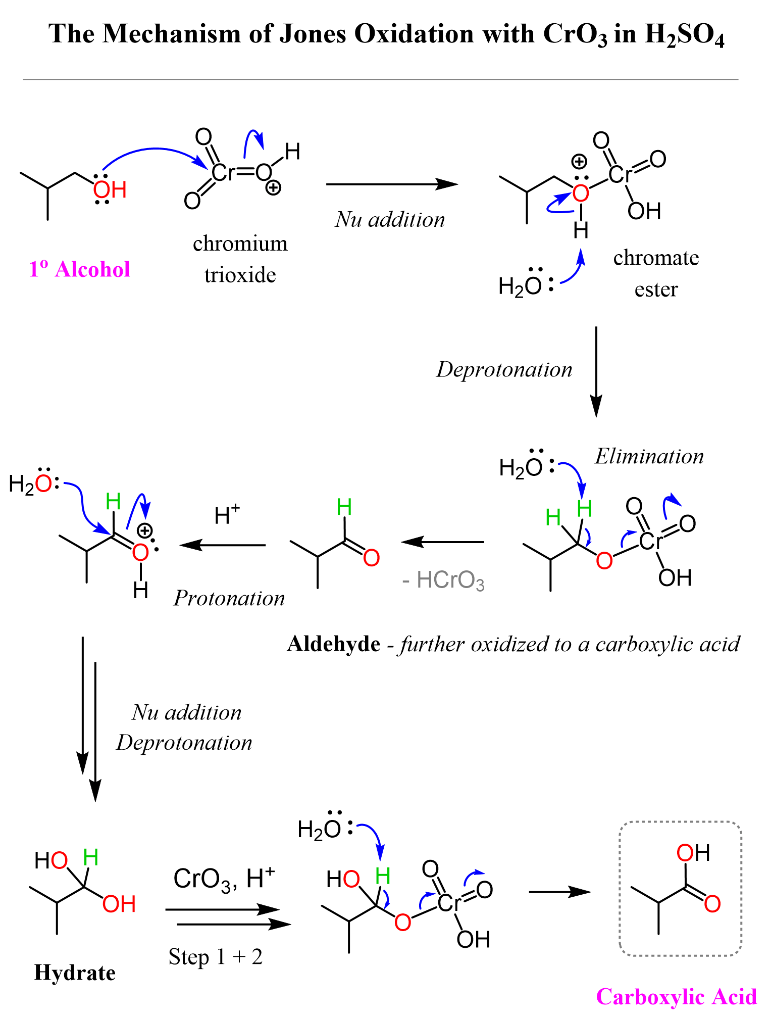 Mechanism Of Jones Oxidation