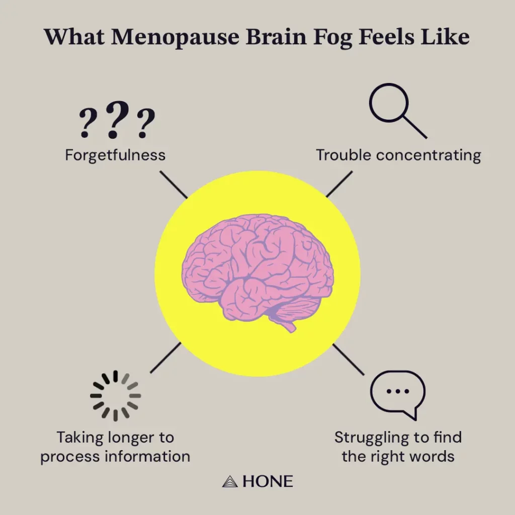 Menopause Brain Fog