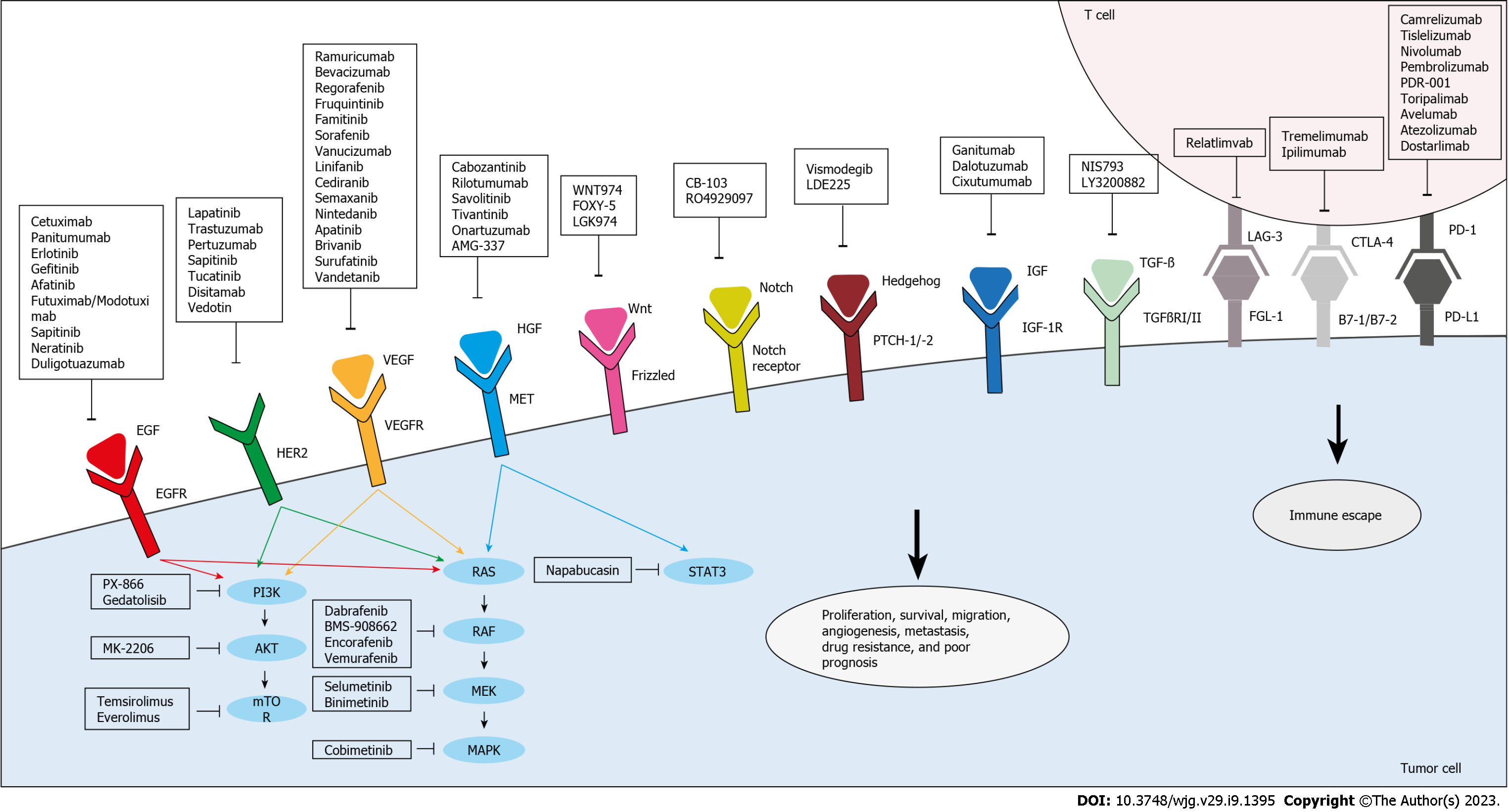 Metastatic Colorectal Cancer Prescription