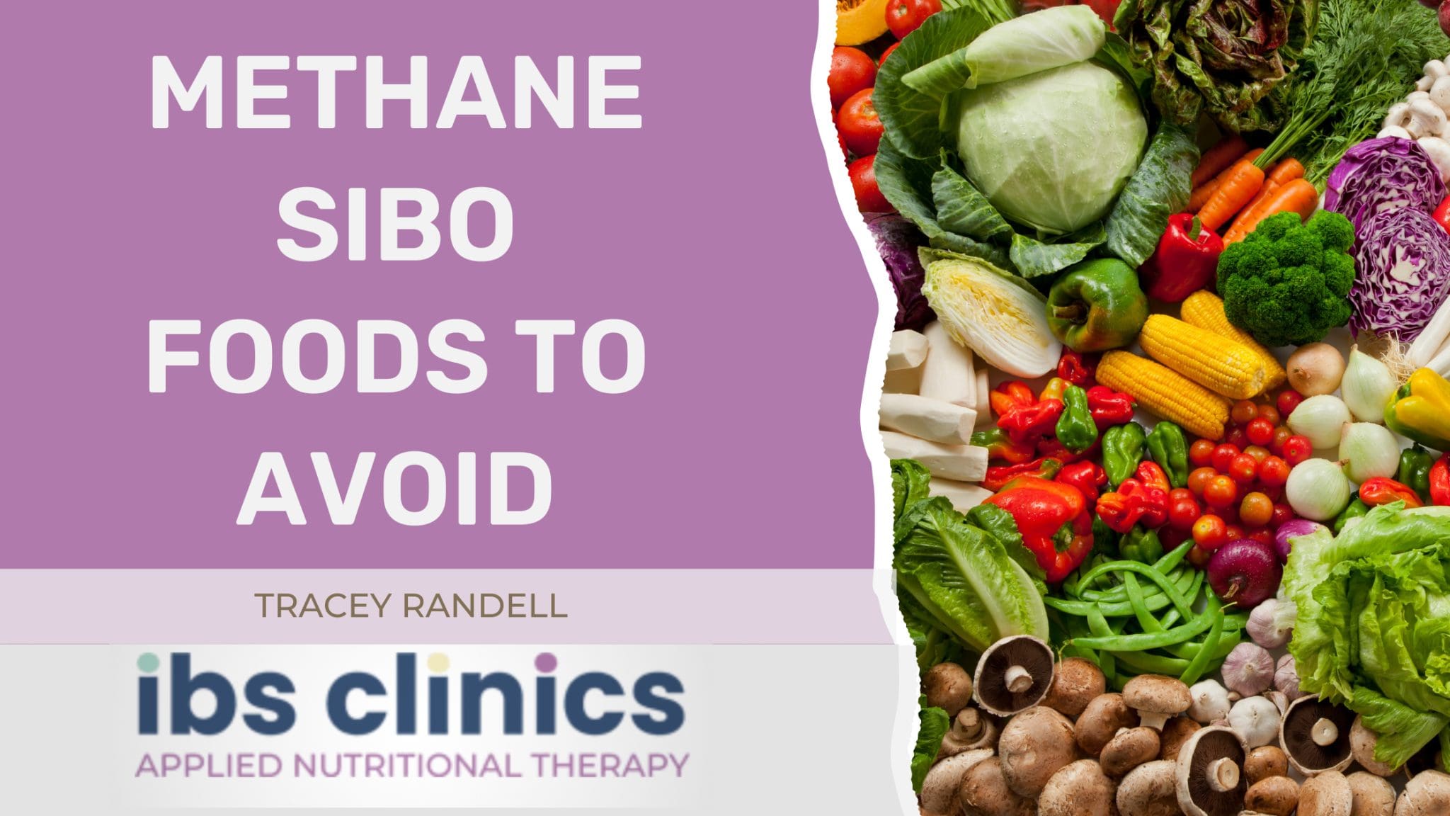 Methane Sibo Foods To Avoid