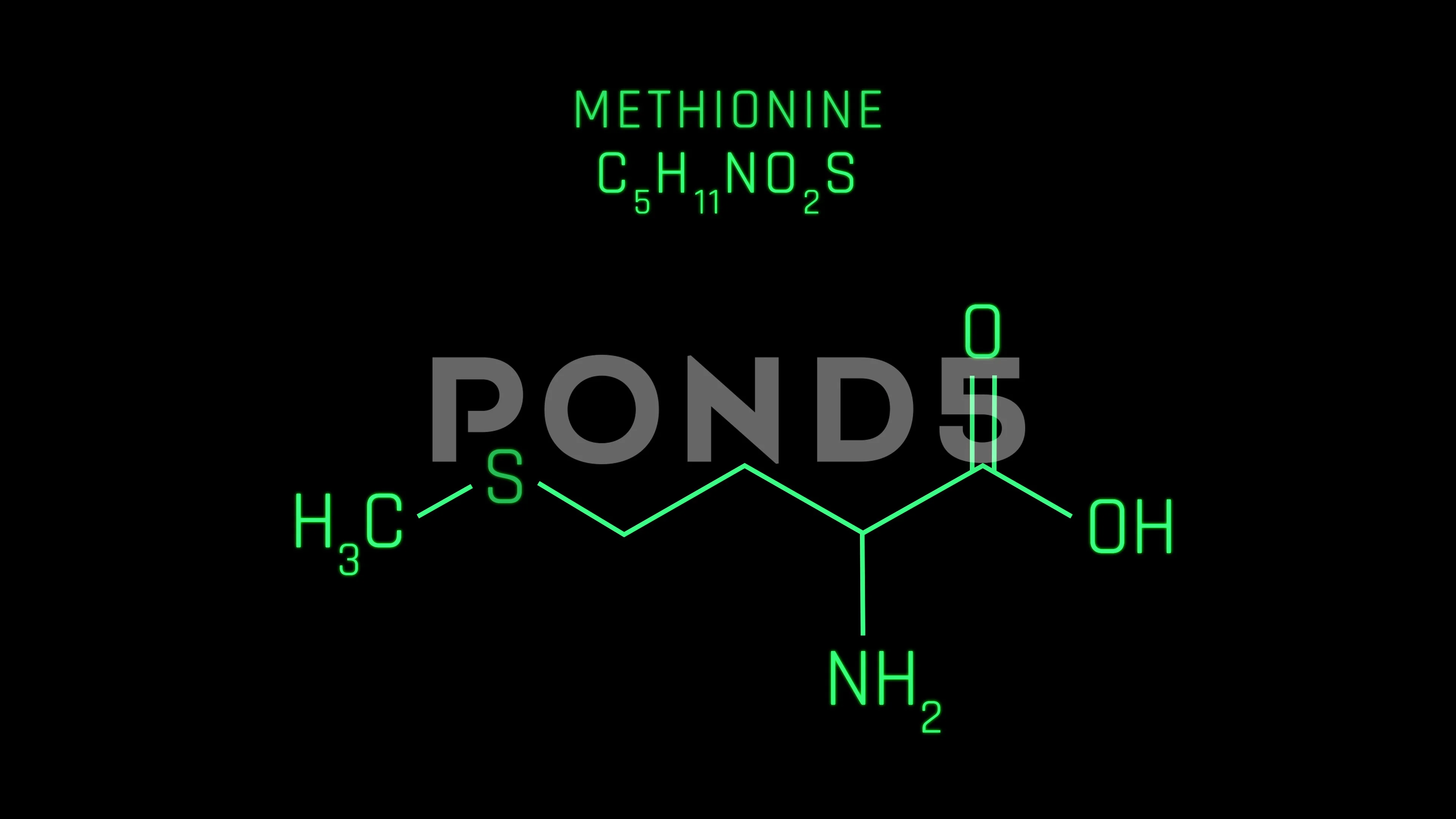 Methionine Structure