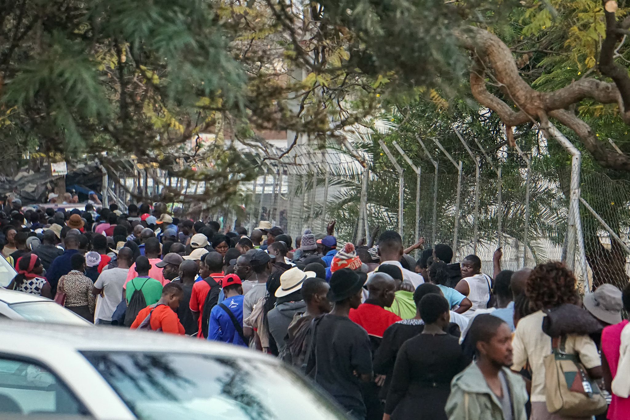 Migration Of Zimbabwe