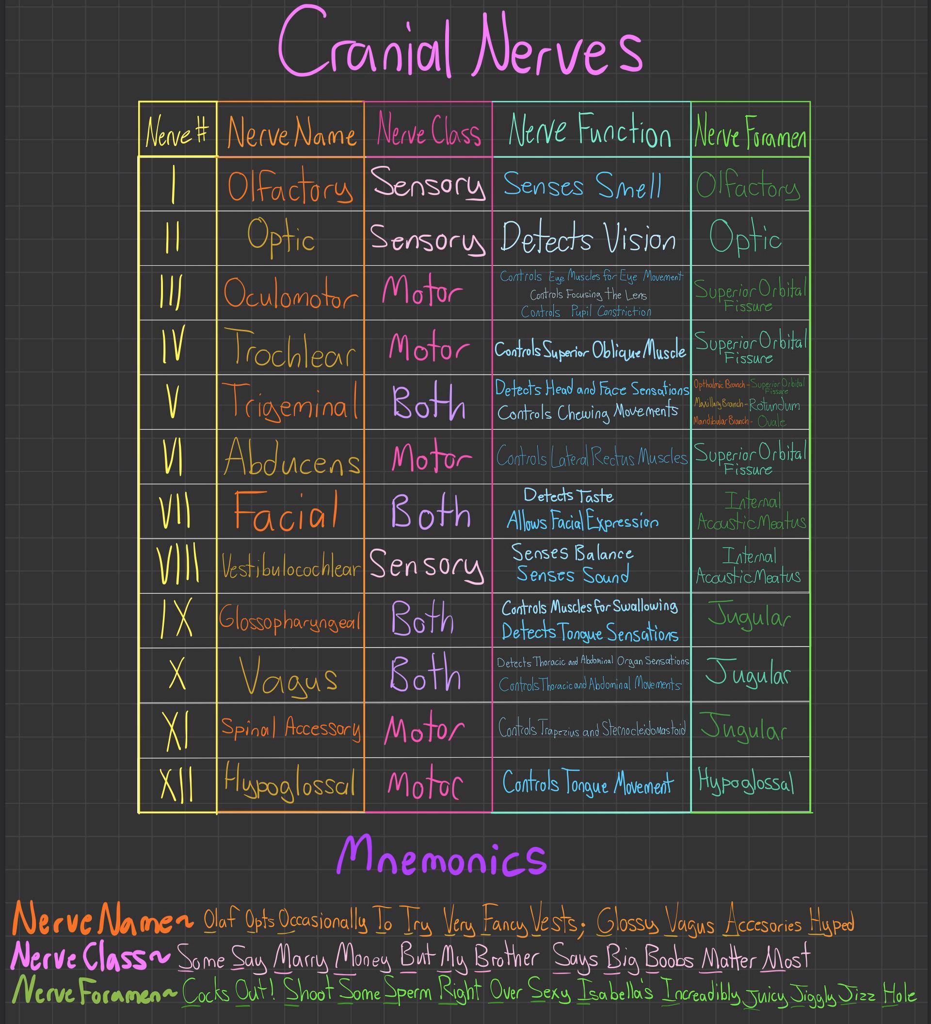 Mnemonic For Cranial Nerves Dirty