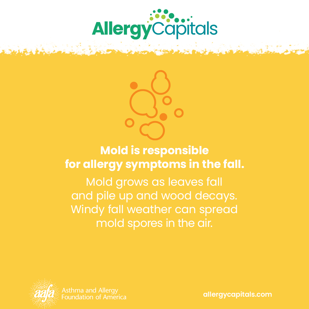 Mold Allergies Treatments