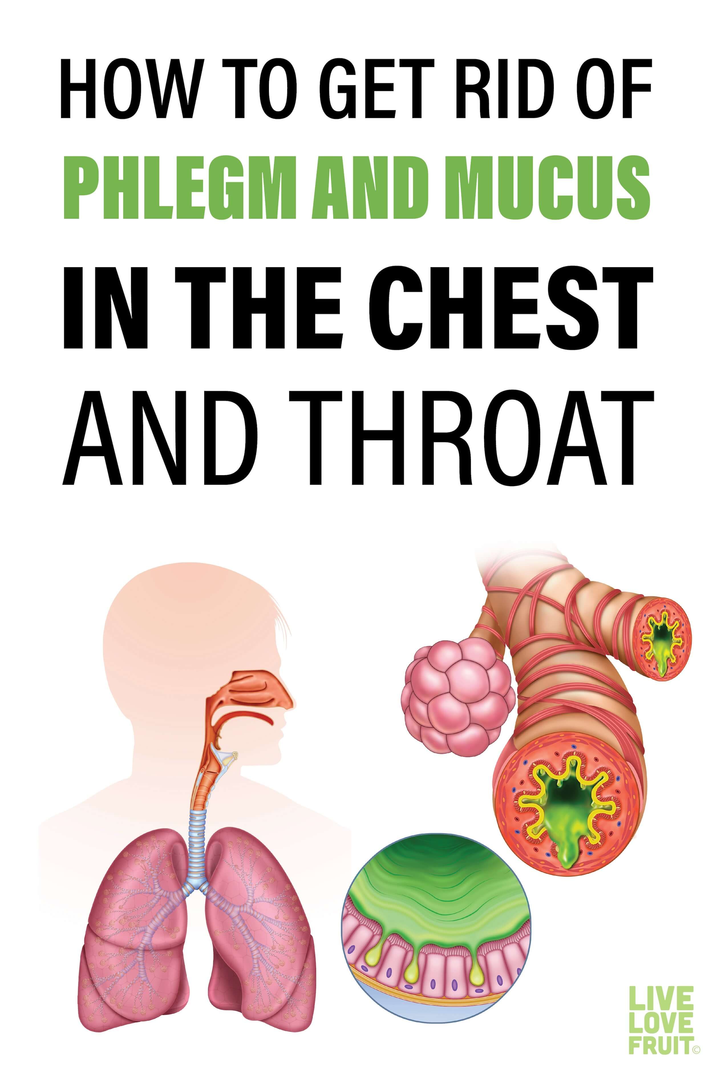 Mucus In Chest