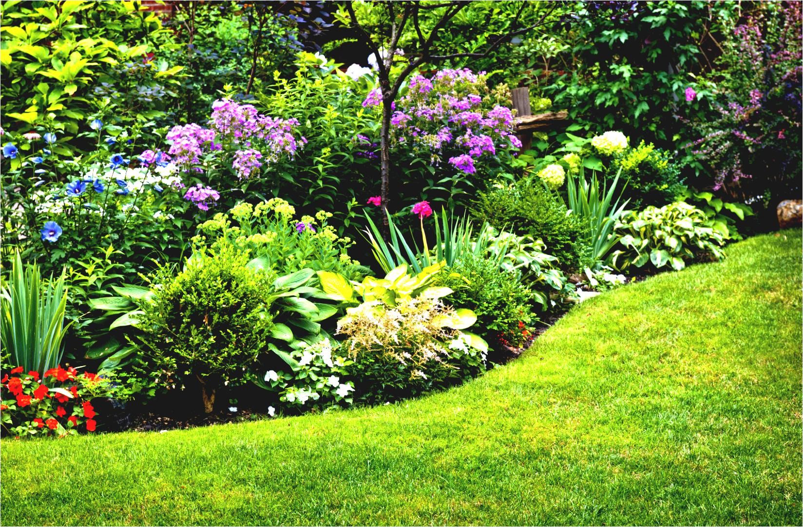Native Plants To Zone 7B