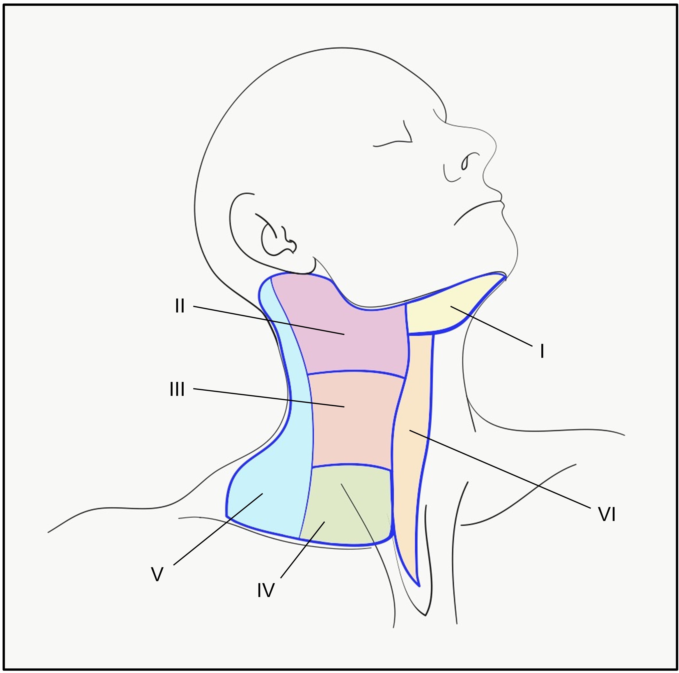 Neck Lymph Node Levels