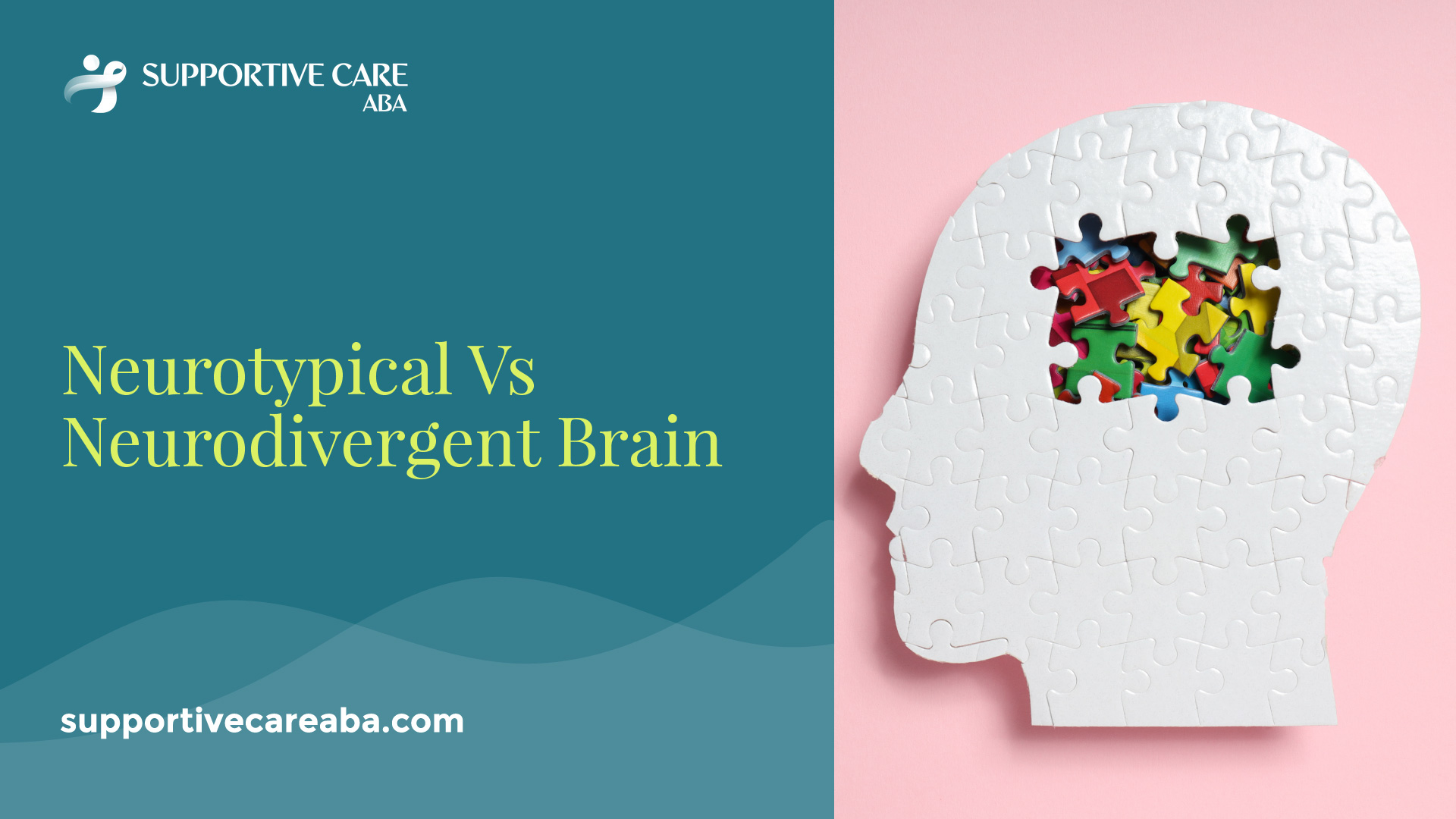 Neurotypical Vs Neurodivergent
