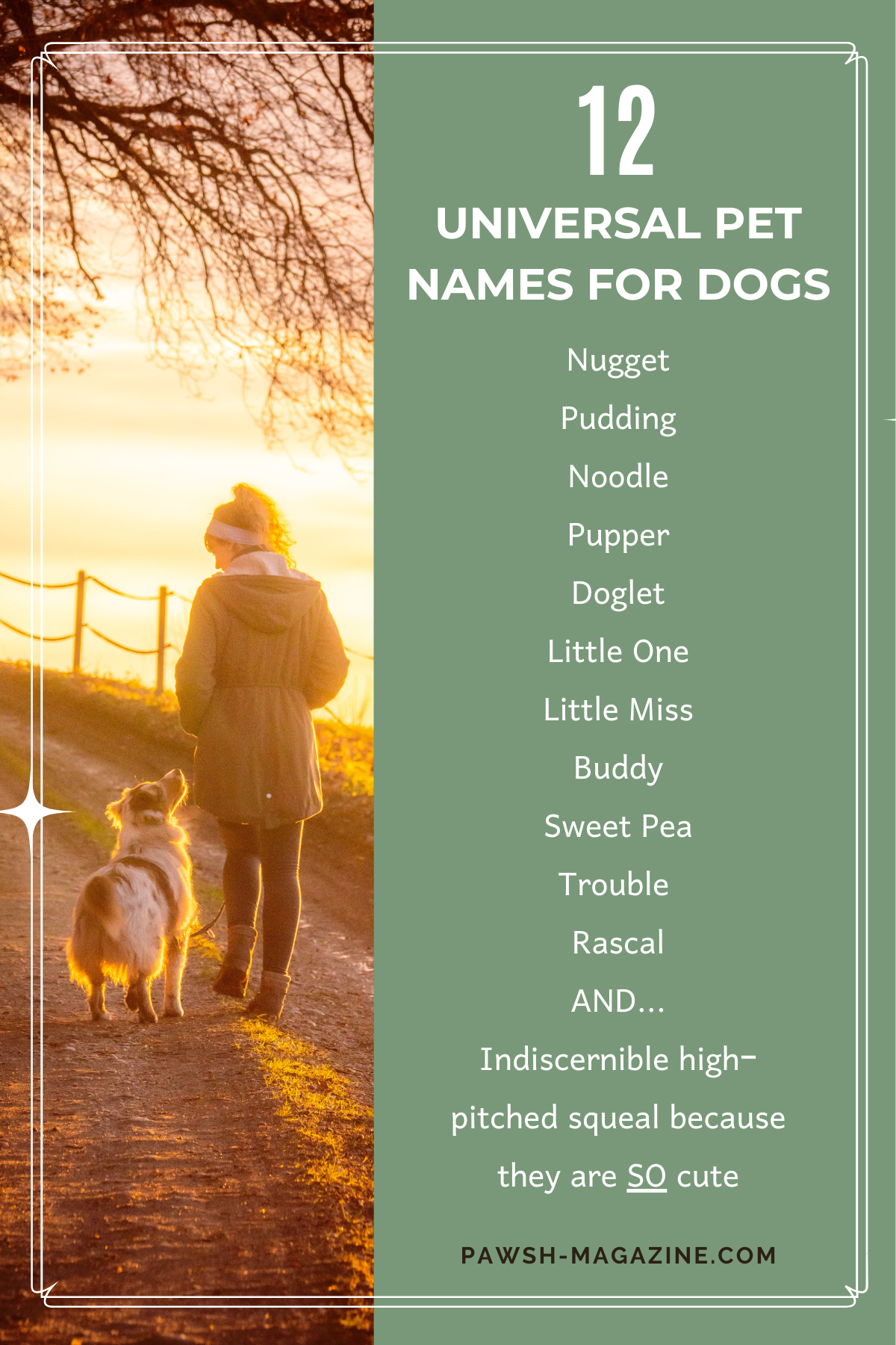 Nicknames For Dogs